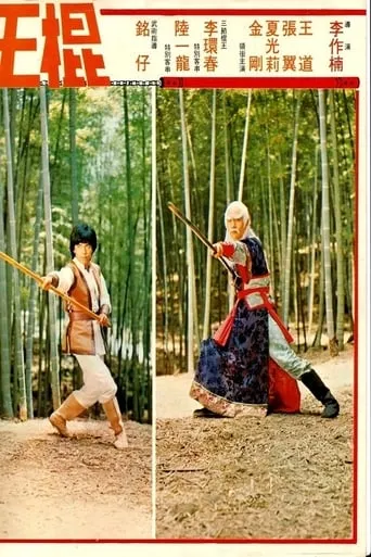 Shaolin Invincible Sticks movie poster - Rated 5.4/10