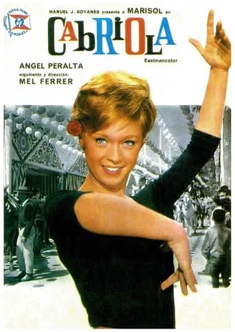 Every Day Is a Holiday movie poster - Rated 4.6/10