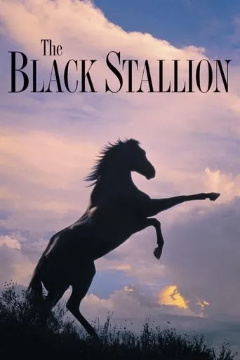 The Black Stallion movie poster - Rated 7/10