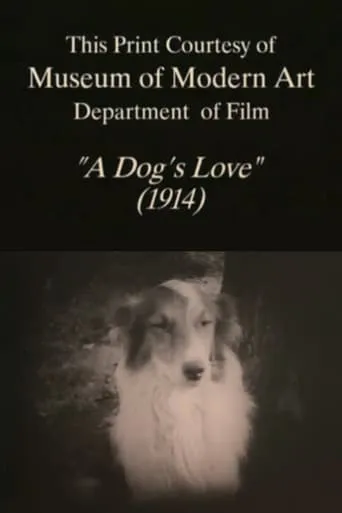 A Dog's Love movie poster - Rated 6.4/10