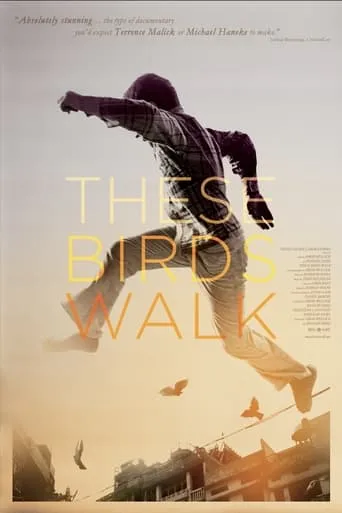These Birds Walk movie poster - Rated 8/10