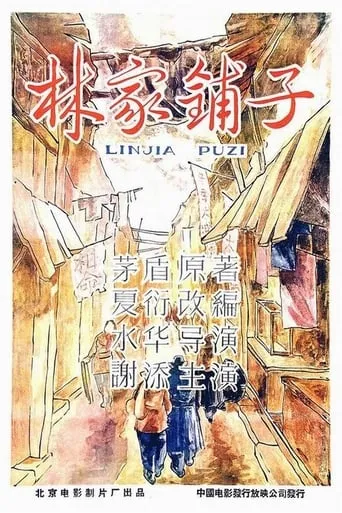 The Lin Family Shop movie poster - Rated 6.1/10