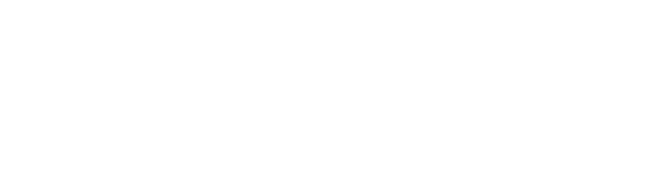 Brokedown Palace