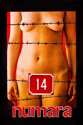 Number 14 movie poster - Rated 4/10
