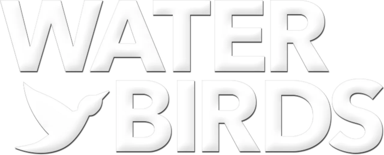 Water Birds