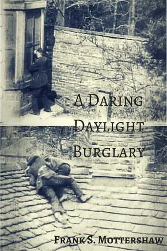 A Daring Daylight Burglary movie poster - Rated 5.6/10