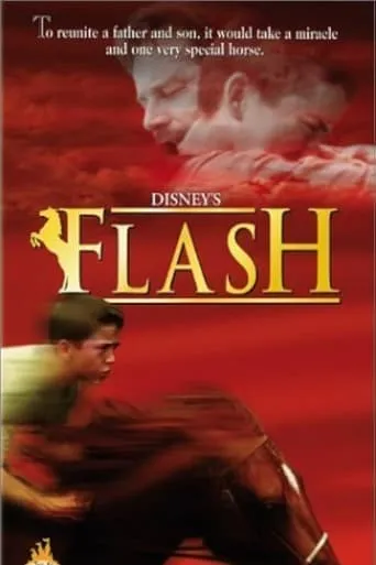 Flash movie poster - Rated 8.1/10
