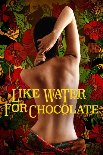 Like Water for Chocolate movie poster - Rated 7.3/10