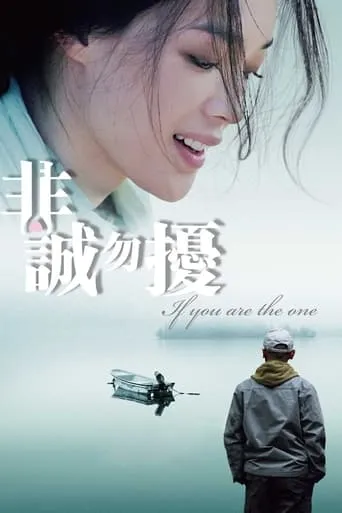 If You Are the One movie poster - Rated 6.685/10