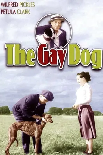 The Gay Dog movie poster - Rated 6.5/10