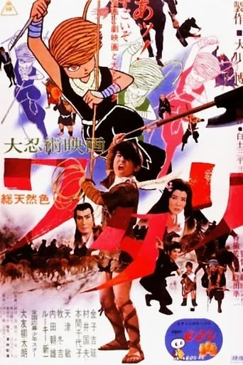 Watari, the Ninja Boy movie poster - Rated 6.3/10