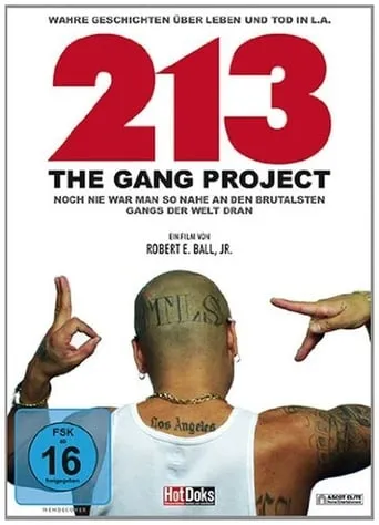 213 - The Gang Project movie poster - Rated 4.5/10