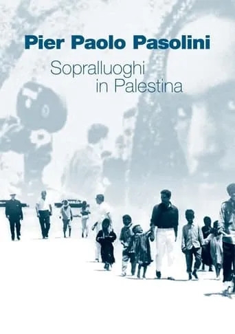Scouting in Palestine movie poster - Rated 7.2/10