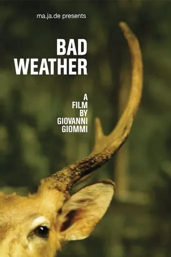 Bad Weather movie poster - Rated 6/10