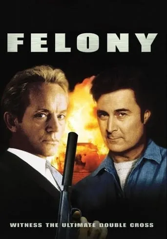 Felony movie poster - Rated 4.6/10