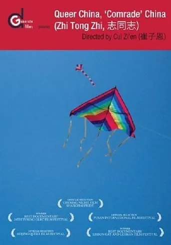 Queer China, 'Comrade' China movie poster - Rated 4.6/10