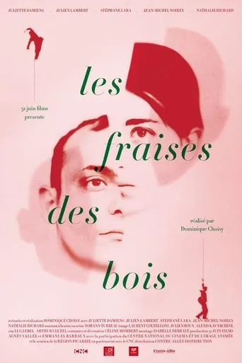 Wild Strawberries movie poster - Rated 6.6/10