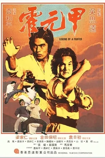 Legend of a Fighter movie poster - Rated 6.3/10