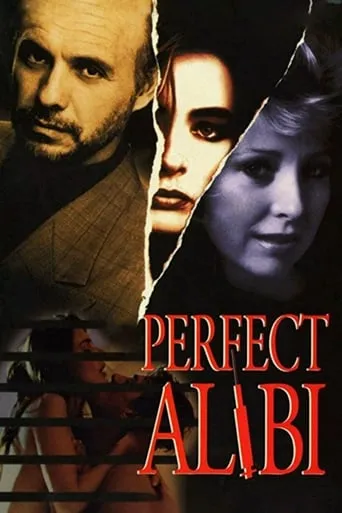 Perfect Alibi movie poster - Rated 3.5/10