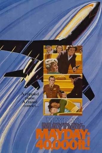 Mayday at 40,000 Feet movie poster - Rated 6.5/10