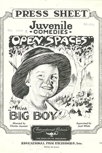 Open Spaces movie poster - Entertainment content