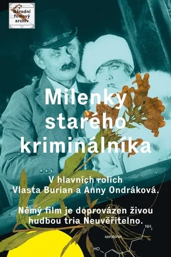 The Lovers of an Old Criminal movie poster - Rated 6.8/10