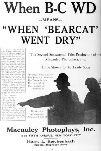 When Bearcat Went Dry movie poster - Entertainment content