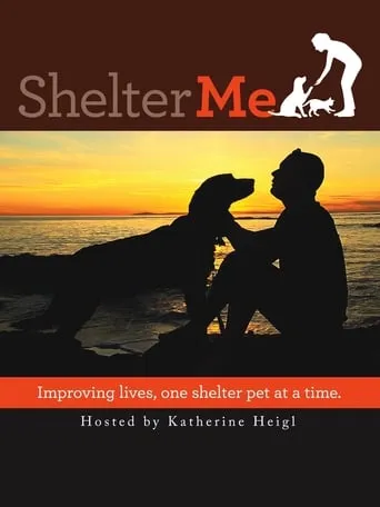 Shelter Me movie poster - Entertainment content