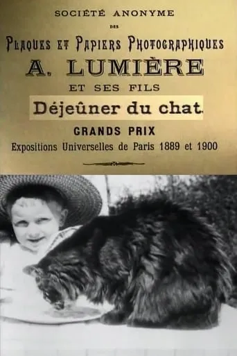 Déjeuner du Chat movie poster - Rated 5.5/10