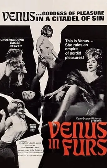 Venus in Furs movie poster - Rated 5.2/10