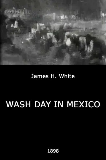 Wash Day in Mexico movie poster - Rated 3.6/10