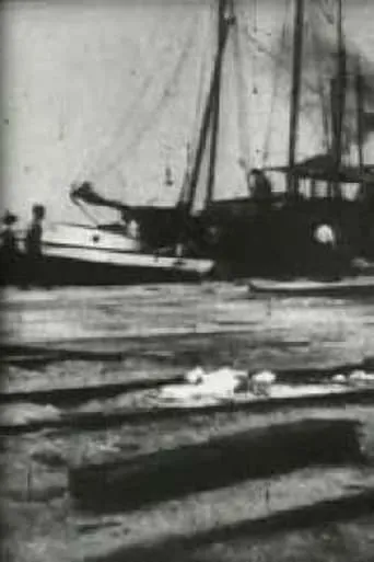 Bird's-Eye View of Dock Front, Galveston movie poster - Rated 4/10