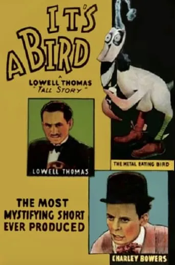 It's a Bird movie poster - Rated 7.1/10