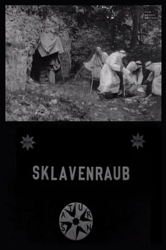 The Abduction of the Slave Women movie poster - Rated 5.5/10