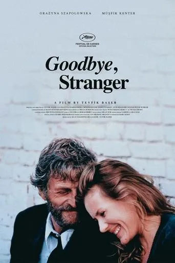 Goodbye Stranger movie poster - Entertainment content
