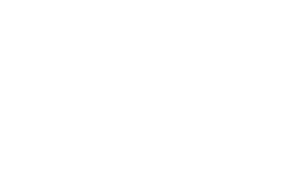 Blitz Patrollie