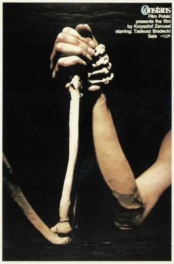 The Constant Factor movie poster - Rated 7.3/10