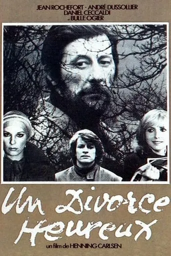 A Happy Divorce movie poster - Rated 5/10