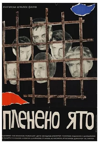 Captive Flock movie poster - Entertainment content