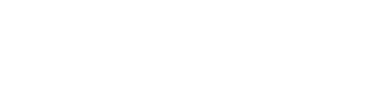 The Outsider