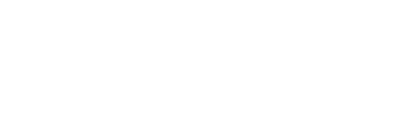 We Own the Night