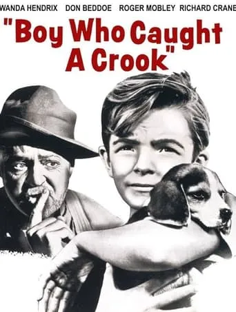Boy Who Caught a Crook movie poster - Rated 5/10