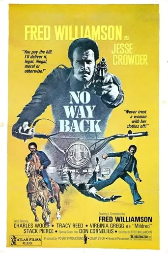 No Way Back movie poster - Rated 3.2/10