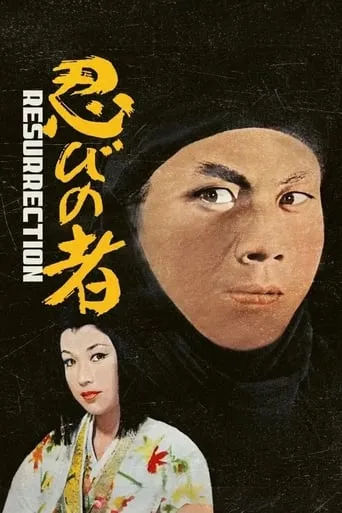 Shinobi no Mono 3: Resurrection movie poster - Rated 7/10