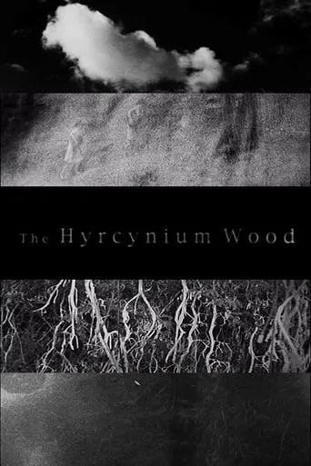 The Hyrcynium Wood movie poster - Rated 5/10