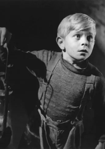The Boy and the Bridge movie poster - Rated 5/10