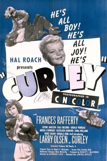 Curley movie poster - Rated 5.4/10