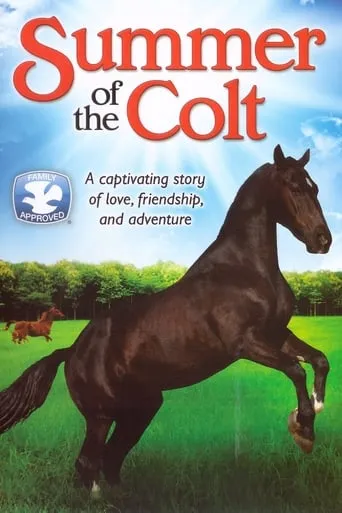 Summer of the Colt movie poster - Rated 8/10