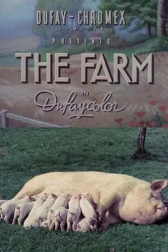 The Farm movie poster - Rated 6.2/10