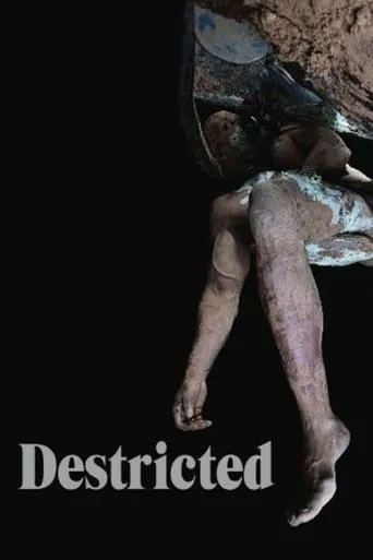 Destricted movie poster - Rated 4.5/10